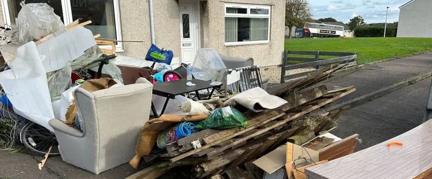 Uccle: the eco-friendly clearance challenge in a large wooded estate